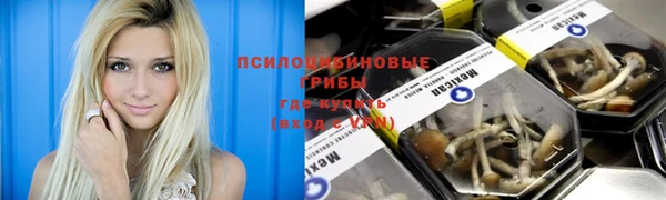 соль ск Богородицк