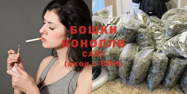 соль ск Богородицк