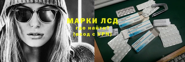 спиды Богданович