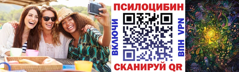 Галлюциногенные грибы мицелий  Шагонар 