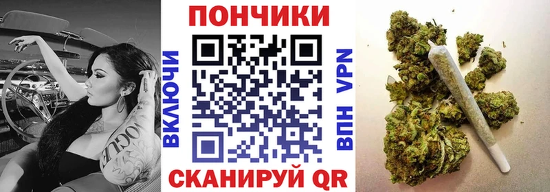 Шишки марихуана конопля  купить   МЕГА маркетплейс  Шагонар 